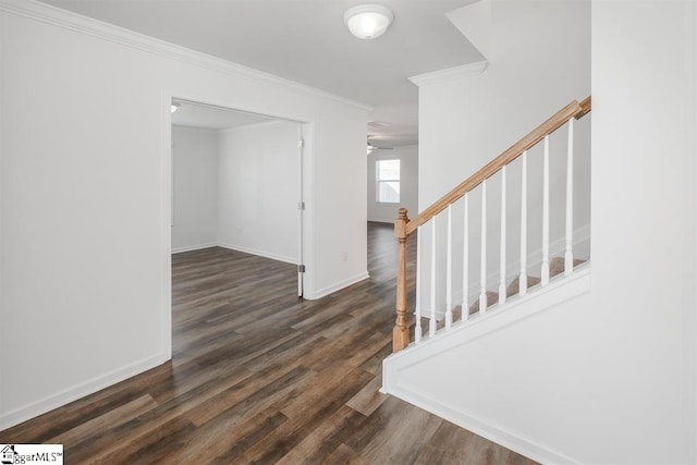 entryway with ornamental molding and dark wood-type flooring