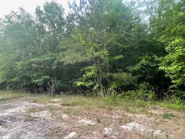 00 Ridge Rd Lot 4, Hodges SC, 29653 land for sale