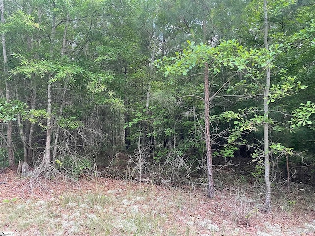 Listing photo 2 for 00 Ridge Rd Lot 4, Hodges SC 29653