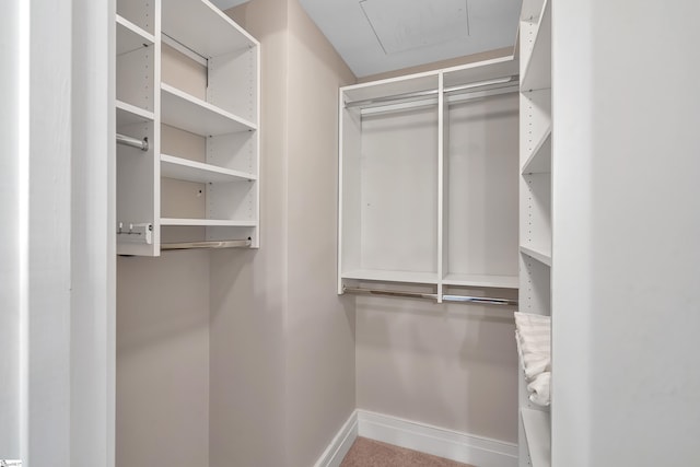 view of walk in closet