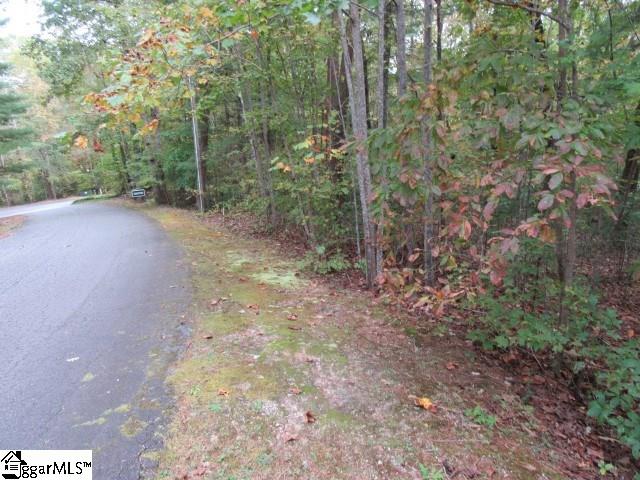 Listing photo 3 for 305 Whispering Falls Dr, Pickens SC 29671