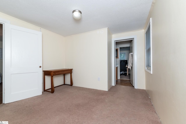 unfurnished room featuring light colored carpet and a textured ceiling