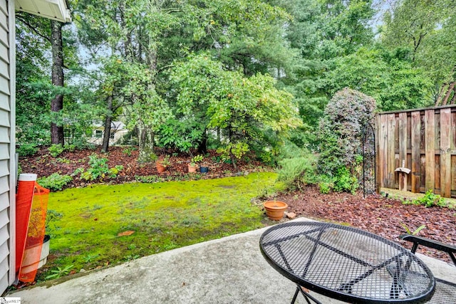 view of yard with a patio