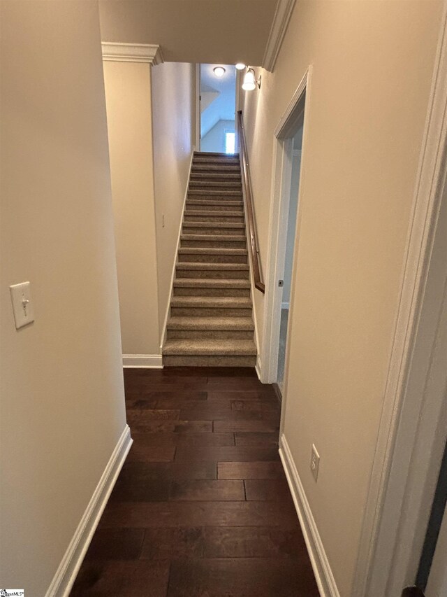 stairs with ornamental molding and hardwood / wood-style flooring