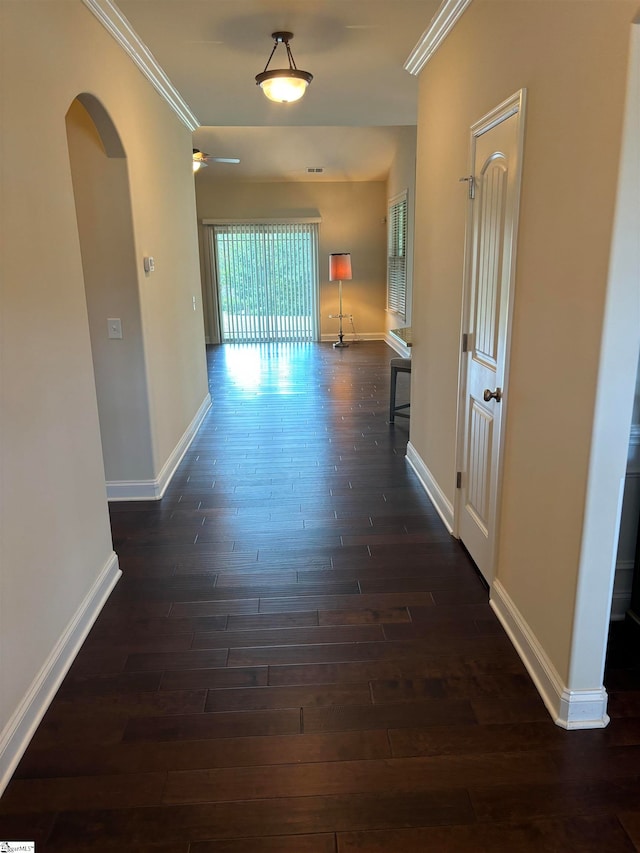 hallway featuring crown molding and dark wood-type flooring