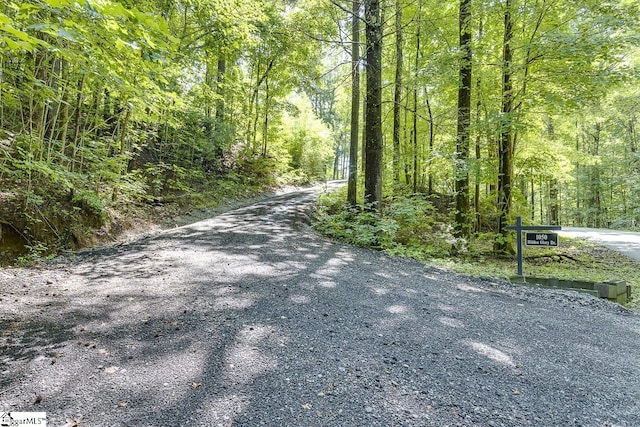 view of street with a forest view