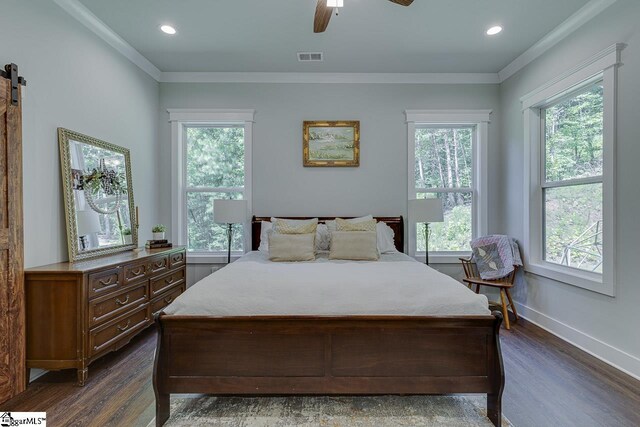 bedroom featuring dark wood-style floors, ornamental molding, and multiple windows