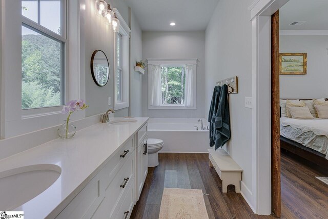 bathroom featuring wood finished floors, toilet, a sink, ensuite bath, and a bath
