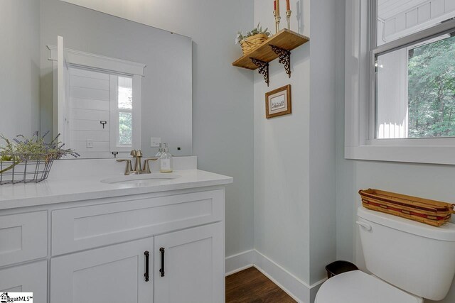 bathroom featuring toilet, vanity, baseboards, and wood finished floors