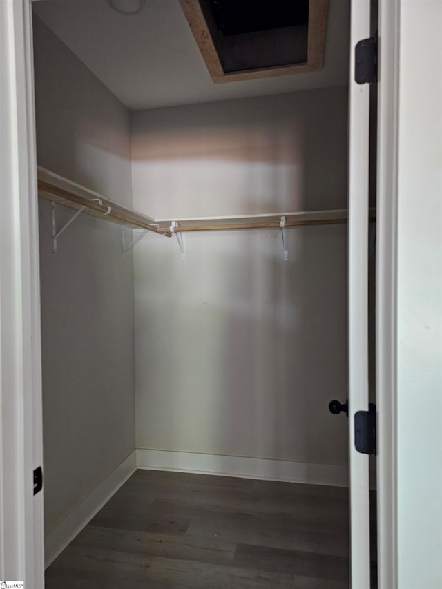 spacious closet with dark wood-type flooring