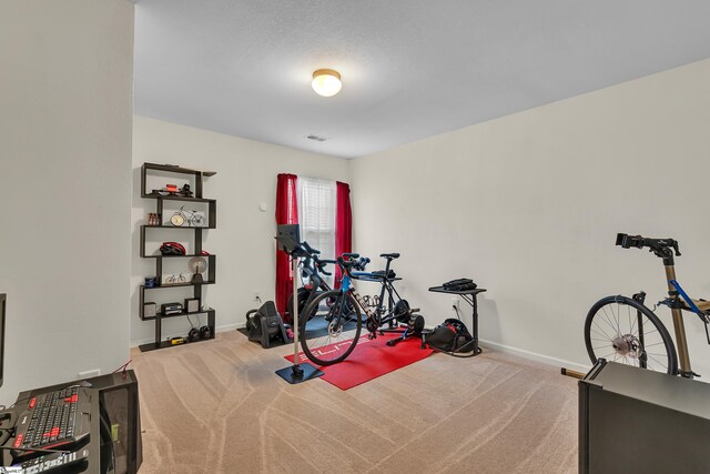 workout area featuring carpet floors and a textured ceiling