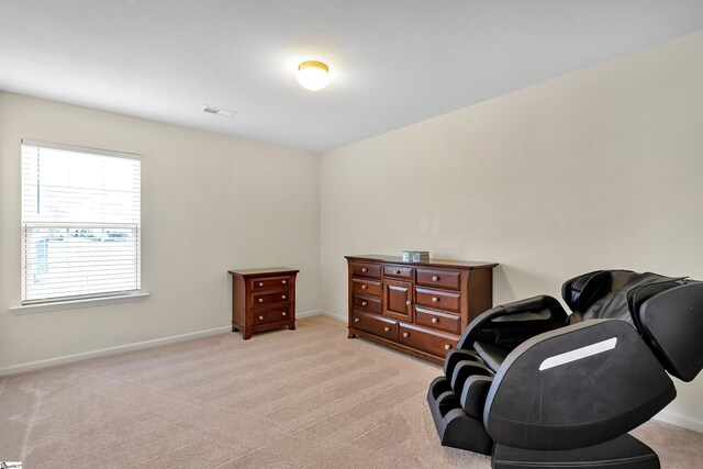 sitting room featuring light carpet