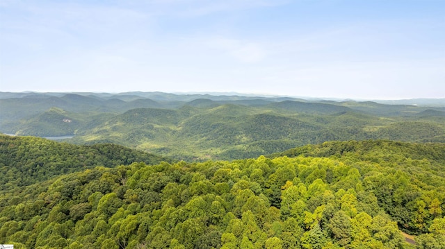 view of mountain feature