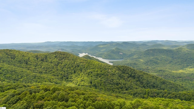 mountain view featuring a water view