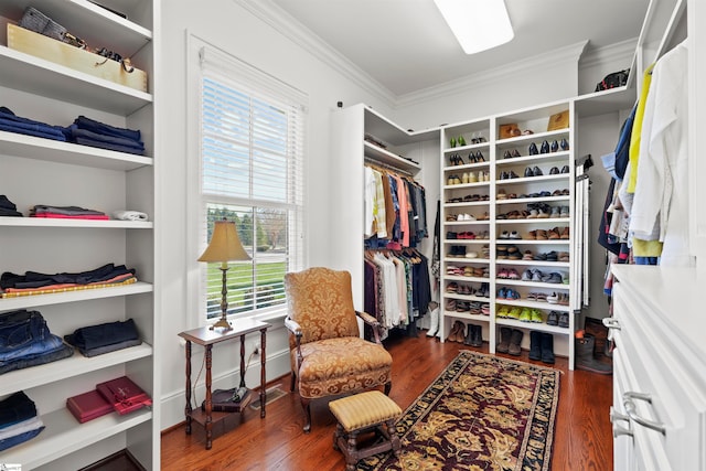 spacious closet with dark hardwood / wood-style floors