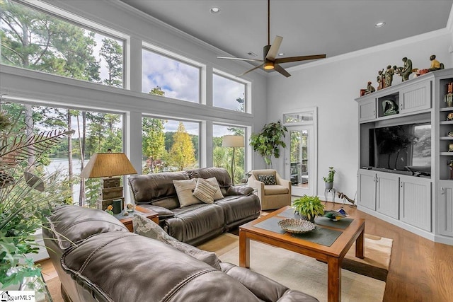 living room featuring ceiling fan, light wood-type flooring, a towering ceiling, and a healthy amount of sunlight