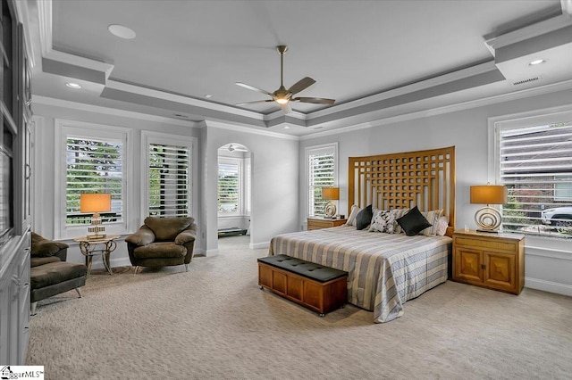 bedroom featuring multiple windows and a raised ceiling