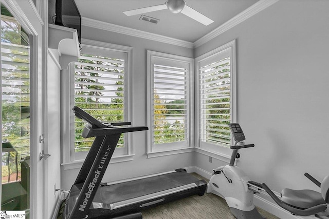 exercise room with a healthy amount of sunlight, ornamental molding, and ceiling fan