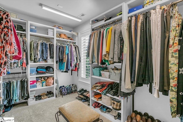 spacious closet featuring carpet flooring