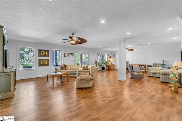 living room with wood-type flooring, a textured ceiling, ceiling fan, and a healthy amount of sunlight