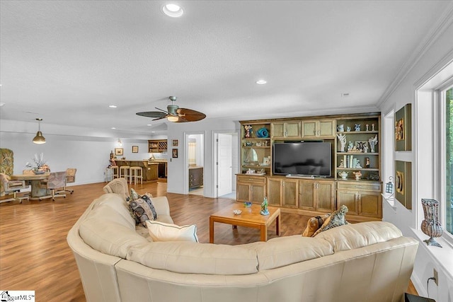 living room with a textured ceiling, light hardwood / wood-style floors, ceiling fan, and crown molding