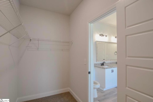 walk in closet featuring light hardwood / wood-style floors and sink