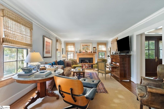 interior space with wood-type flooring and ornamental molding