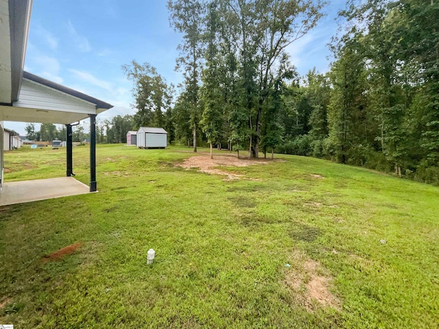 view of yard with a shed