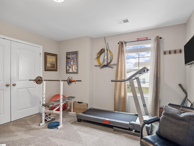 exercise room featuring carpet flooring