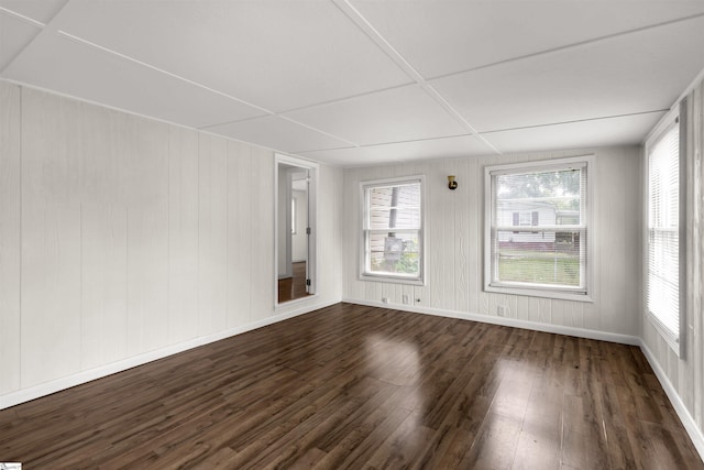 empty room with wooden walls, dark wood-type flooring, and a wealth of natural light