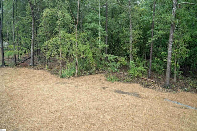 view of tree filled area