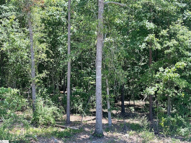 view of undeveloped land