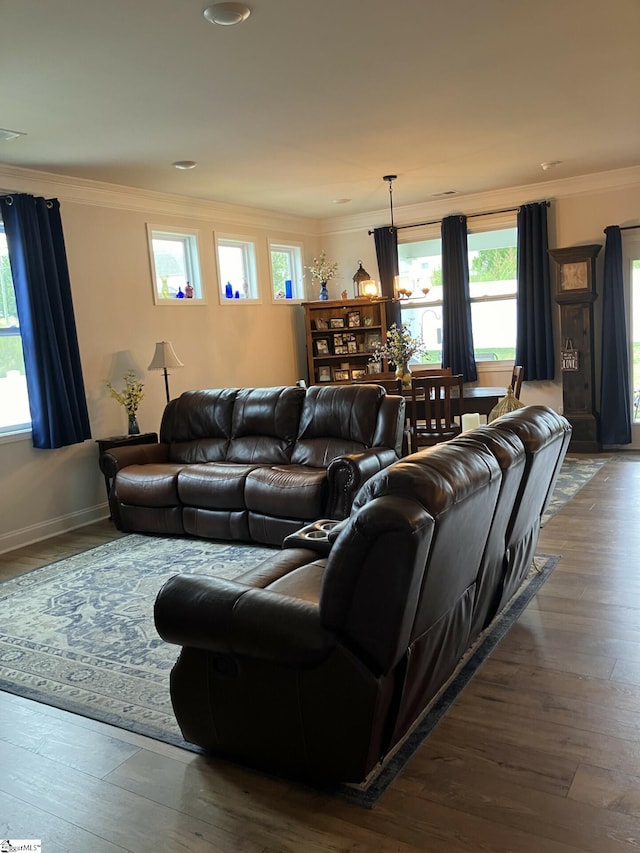 living room with crown molding and dark hardwood / wood-style floors