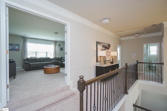 hall featuring a wealth of natural light, carpet floors, and crown molding