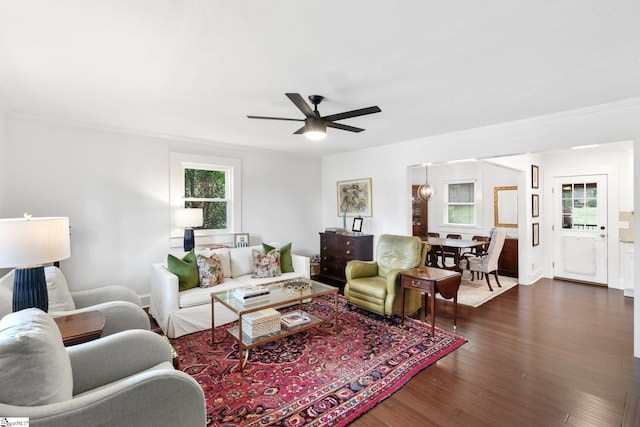 living room featuring ornamental molding, ceiling fan, plenty of natural light, and dark wood-type flooring