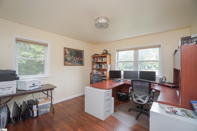 office featuring dark wood-type flooring