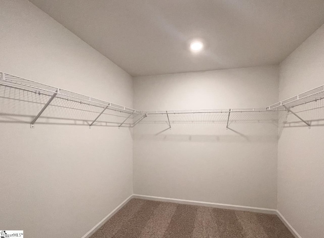 218 Brochaill Ct, Piedmont, SC 29673 - walk in closet with carpet floors