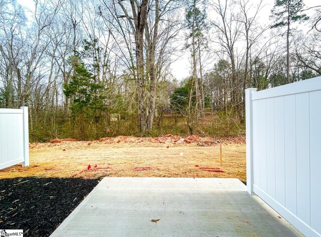 218 Brochaill Ct, Piedmont, SC 29673 - view of yard featuring a patio