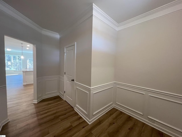 corridor with dark wood-type flooring, sink, and crown molding