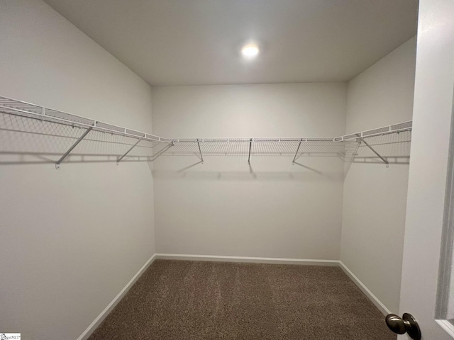 spacious closet featuring dark colored carpet