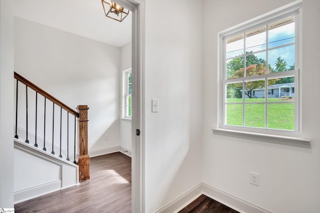 foyer featuring an inviting chandelier, plenty of natural light, and dark hardwood / wood-style flooring