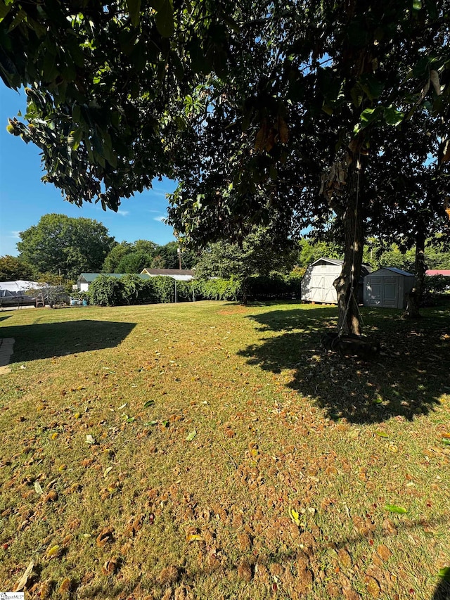 view of yard featuring a shed