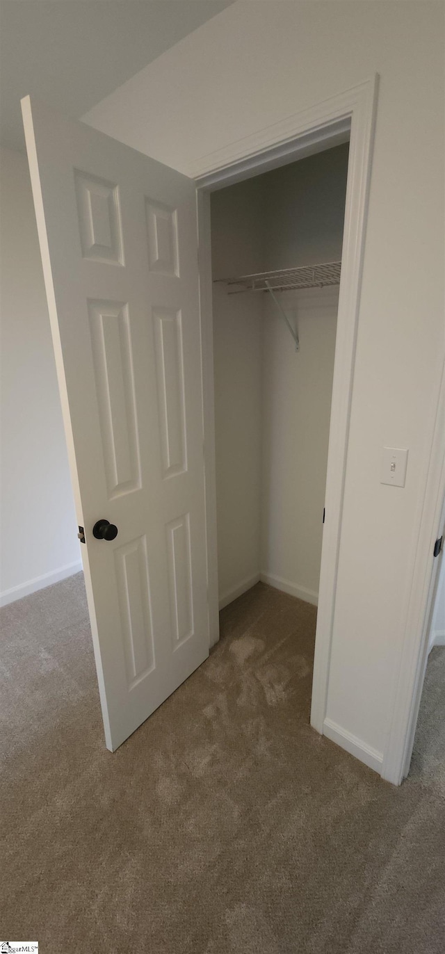 316 Windy Meadow Way, Simpsonville, SC 29680 - view of closet