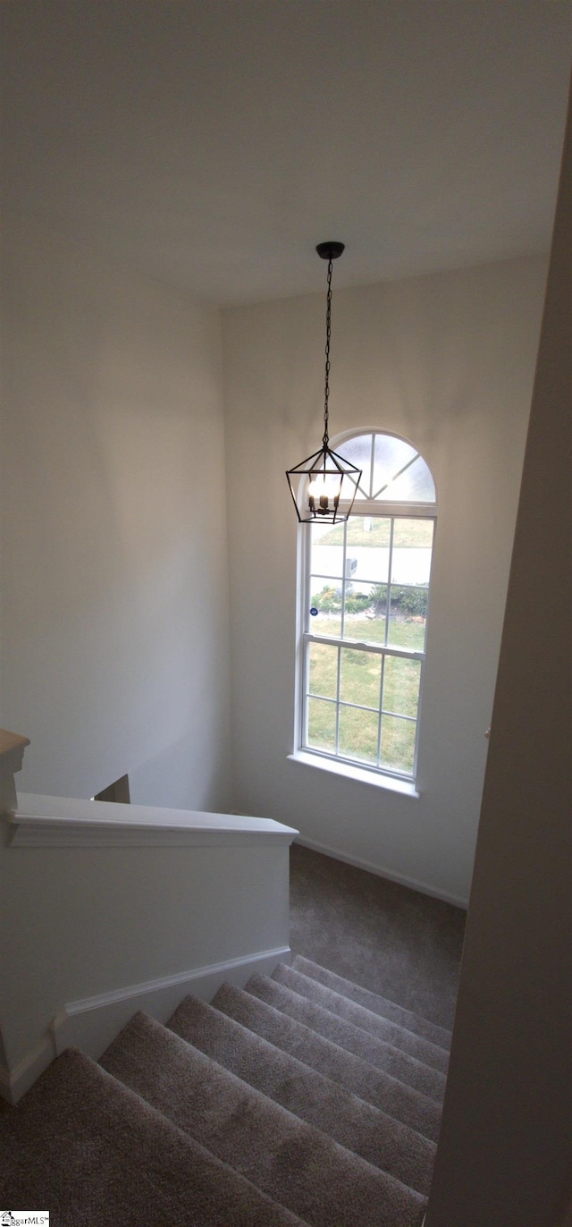 316 Windy Meadow Way, Simpsonville, SC 29680 - staircase with carpet flooring, baseboards, and an inviting chandelier