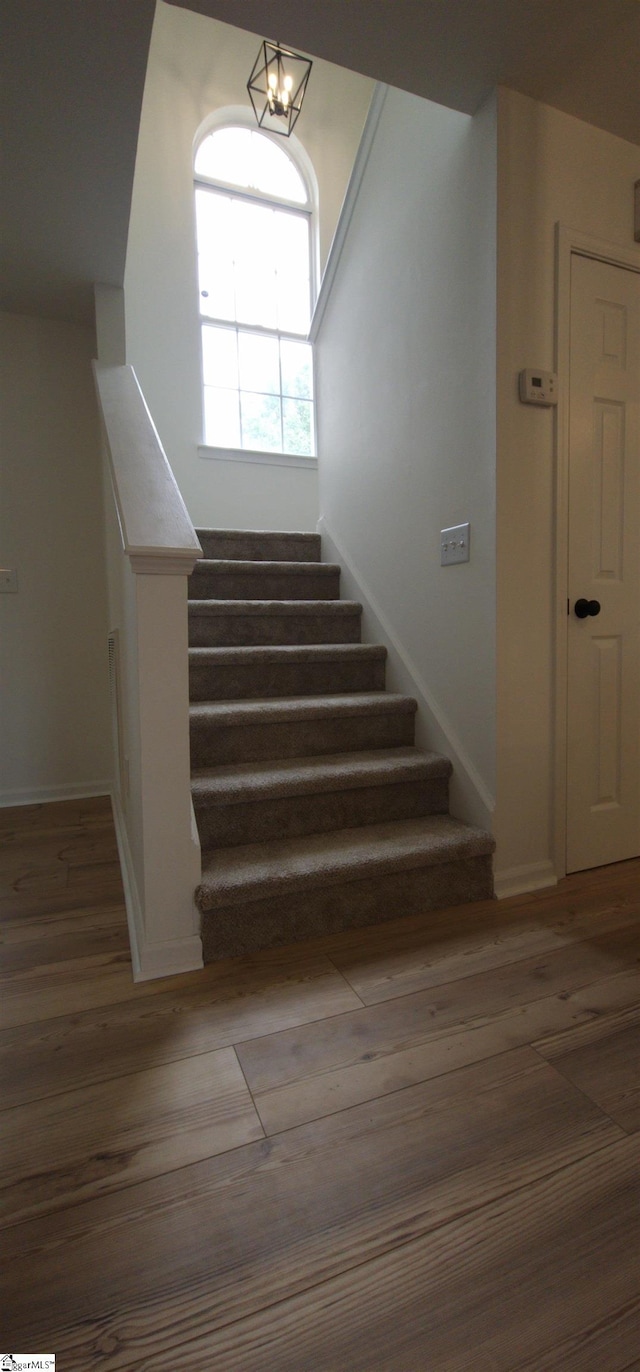 stairway featuring wood-type flooring and a chandelier