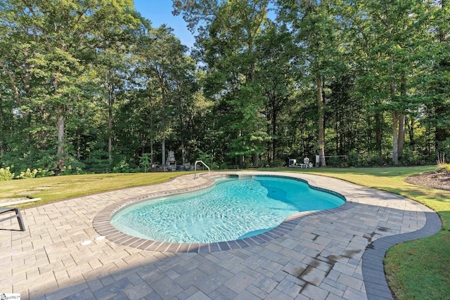 view of pool with a lawn and a patio area