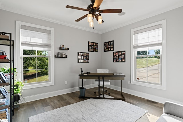 office space featuring ceiling fan, dark hardwood / wood-style floors, ornamental molding, and a wealth of natural light