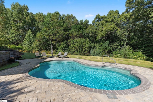 view of pool with a patio and a yard