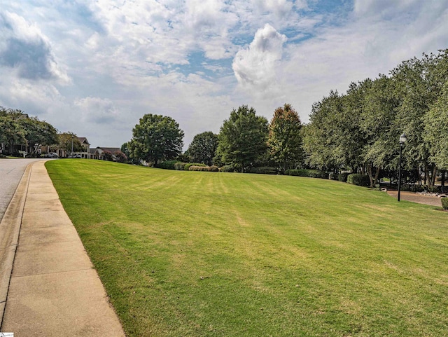 view of property's community featuring a yard