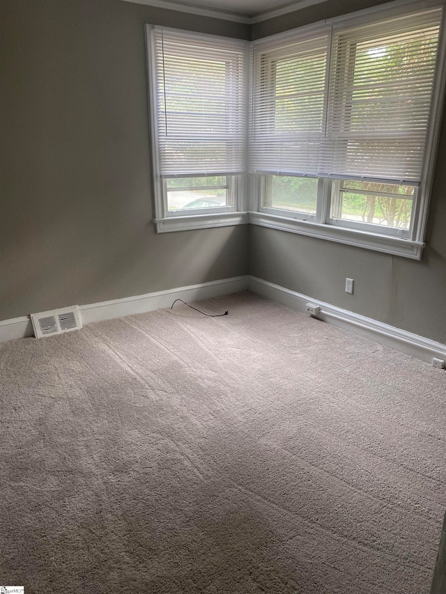 carpeted spare room featuring a healthy amount of sunlight